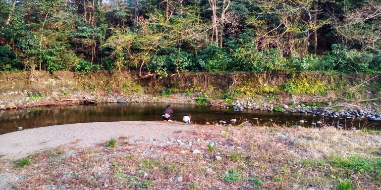 都幾川近く